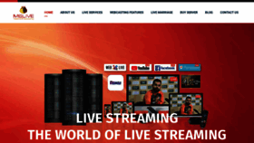 What Livestreamingchennai.in website looked like in 2023 (This year)