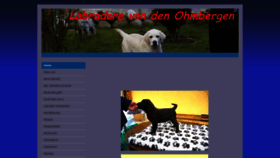 What Labrador-ja.de website looked like in 2023 (This year)