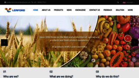 What Lffoodmachine.com website looked like in 2023 (This year)