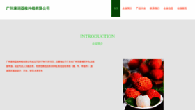 What Lychee1.com website looked like in 2023 (This year)