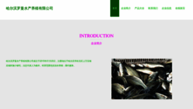What Lmh5201314.com website looked like in 2023 (This year)