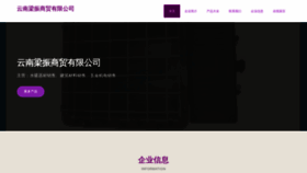 What Lzyeya.com website looked like in 2023 (This year)