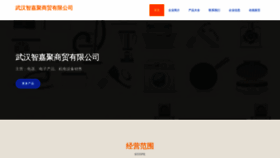 What Lvzhijiajuw.com website looked like in 2023 (This year)