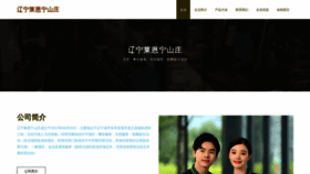 What Liaoningwohushanzhuang.com website looked like in 2023 (This year)