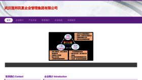What Lianbangtianxia.com website looked like in 2023 (This year)