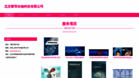 What Liyujin.com website looked like in 2023 (This year)