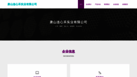 What Lianxinhechuang.com website looked like in 2023 (This year)