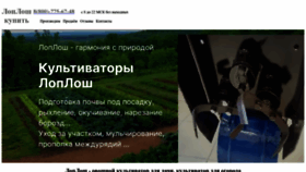 What Loploshi.ru website looked like in 2023 (This year)