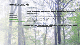 What Lequesneforets.fr website looked like in 2023 (This year)