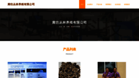 What Lfzpck.cn website looked like in 2023 (This year)