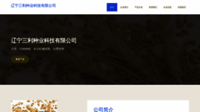 What Lkxohdk.cn website looked like in 2023 (This year)