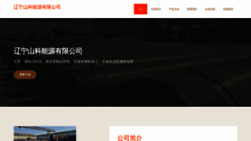 What Ln755.cn website looked like in 2023 (This year)
