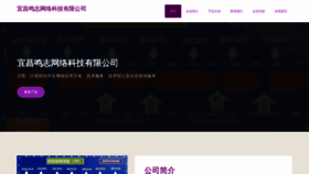 What Lazvyrp.cn website looked like in 2023 (This year)