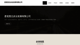 What Ldexmtm.cn website looked like in 2023 (This year)