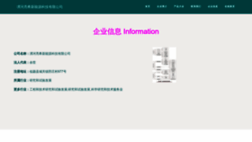 What Lhgcsjt.cn website looked like in 2023 (This year)