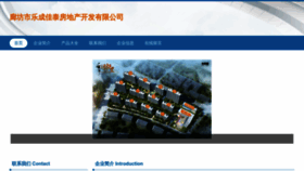 What Lfinzgv.cn website looked like in 2023 (This year)