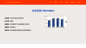 What Lincian.cn website looked like in 2023 (This year)