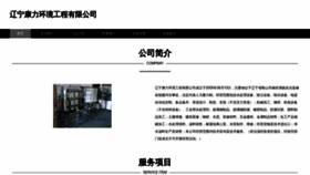 What Lmgshpg.cn website looked like in 2023 (This year)