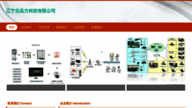 What Lneqf.cn website looked like in 2023 (This year)