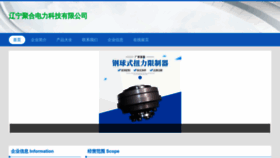 What Lnrpc.cn website looked like in 2023 (This year)