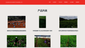 What Latri.cn website looked like in 2023 (This year)