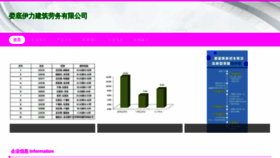 What Lddrrsb.cn website looked like in 2023 (This year)