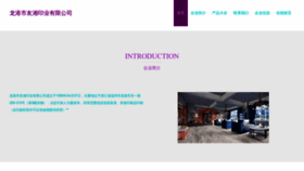 What Lgq61.cn website looked like in 2023 (This year)