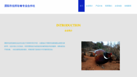 What Liwefyedr.cn website looked like in 2023 (This year)