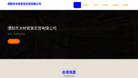 What Liziy.cn website looked like in 2023 (This year)