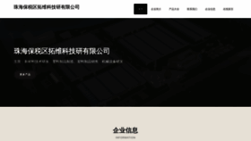 What L1pia.cn website looked like in 2023 (This year)