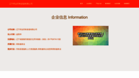 What Lnbaode.com website looks like in 2024 