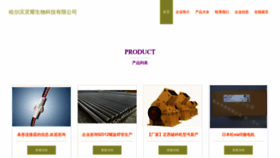 What Luyaoshi.com website looks like in 2024 