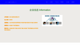 What Liu-huo.com website looks like in 2024 