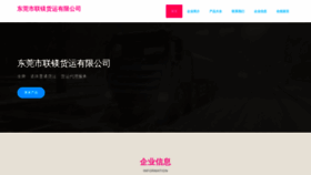 What Lianmei56.com website looks like in 2024 