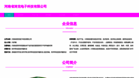 What Lizhitaokeji.com website looks like in 2024 