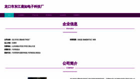 What Lkyoulujiareqi.com website looks like in 2024 