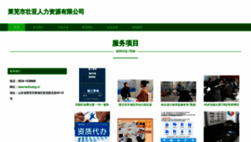 What Lwzhuang.cn website looks like in 2024 