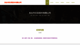 What Lcmiaomu.top website looks like in 2024 