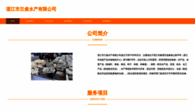 What Lanjunzi1.com website looks like in 2024 