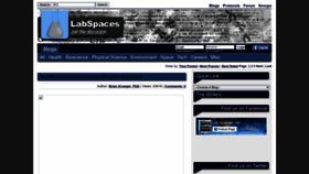 What Labspaces.net website looked like in 2024 (1 year ago)