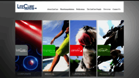What Litecure.com website looks like in 2024 