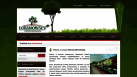 What Lobanowscy.pl website looks like in 2024 