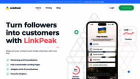 What Linkpeak.io website looks like in 2024 