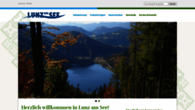What Lunz.at website looks like in 2024 
