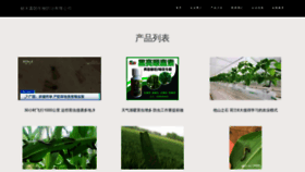 What Luolangg.com website looks like in 2024 