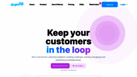 What Loopedin.io website looks like in 2024 