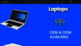 What Labotrix.com website looks like in 2024 