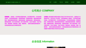What Lfmeixing.com website looks like in 2024 