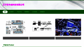 What Lldysow.cn website looks like in 2024 