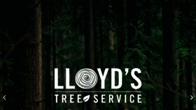 What Lloydstrees.com website looks like in 2024 